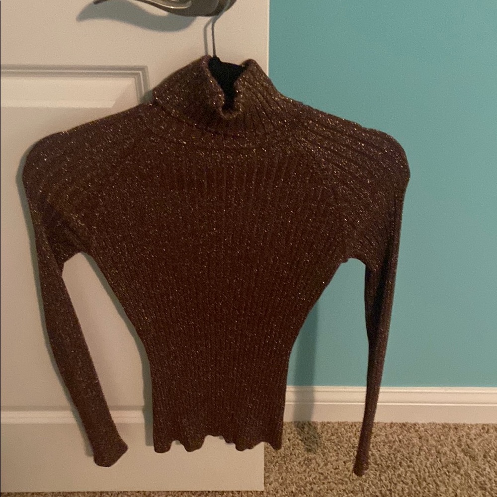 Brown Ribbed Turtleneck Sweater